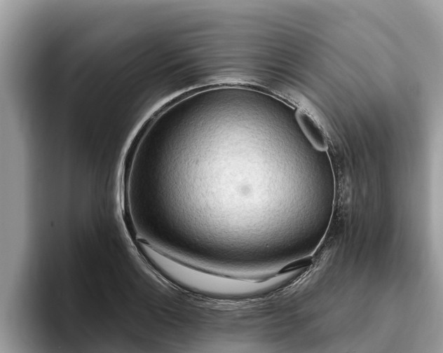 X0000093411132200710190939