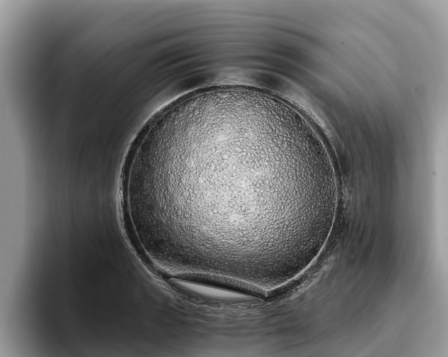 X0000093411133200710190939