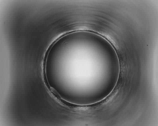 X0000093411134200710190939