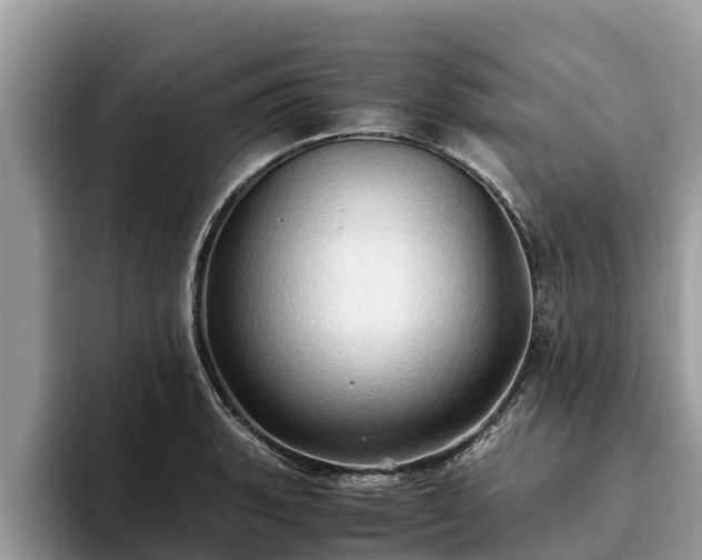 X0000093411135200710190939