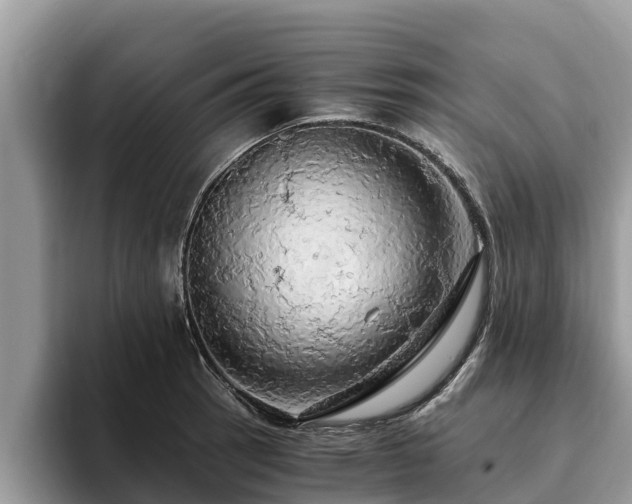 X0000093411137200710190939