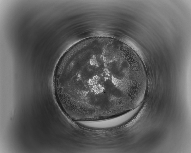 X0000093411141200710190940