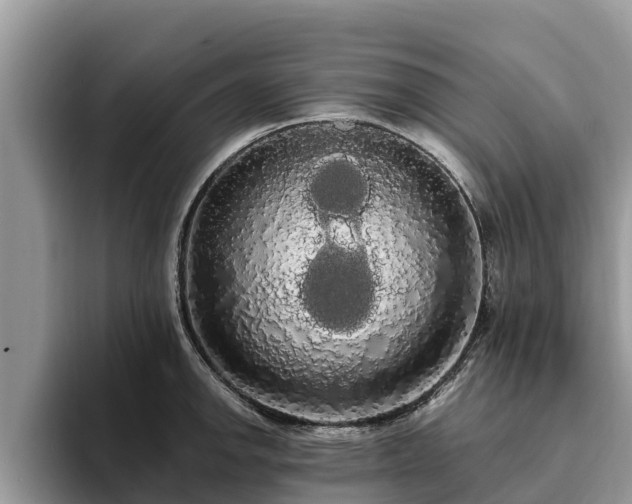 X0000093411142200710190940