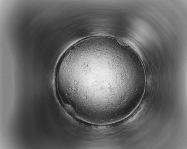 X0000093411149200710190940