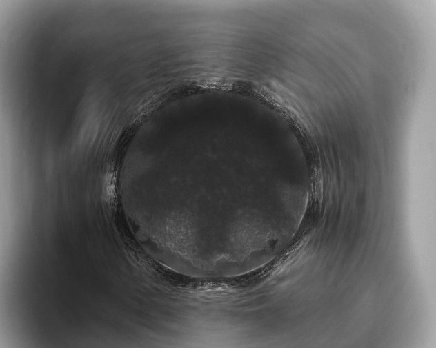 X0000093411154200710190939