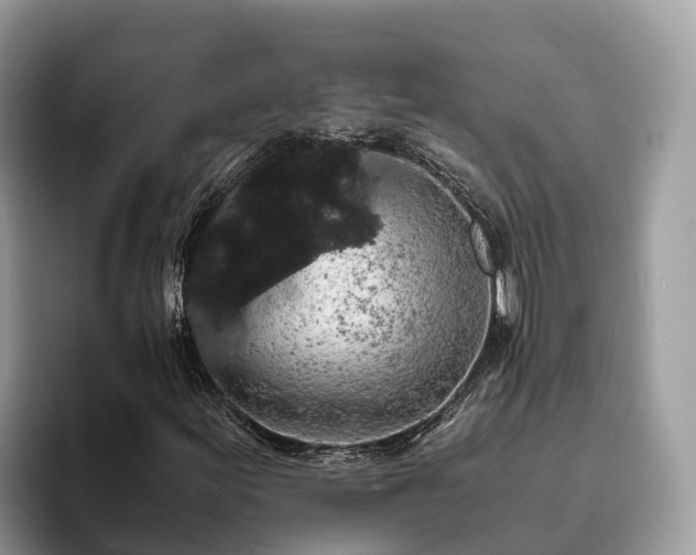 X0000093411155200710190939