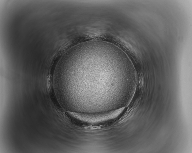 X0000093411156200710190939