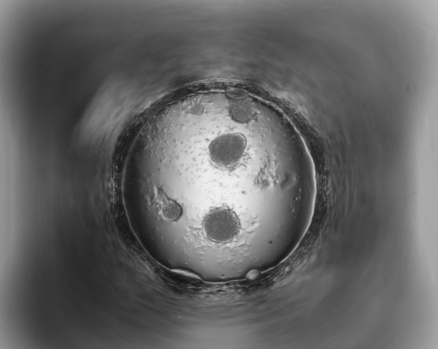 X0000093411159200710190939