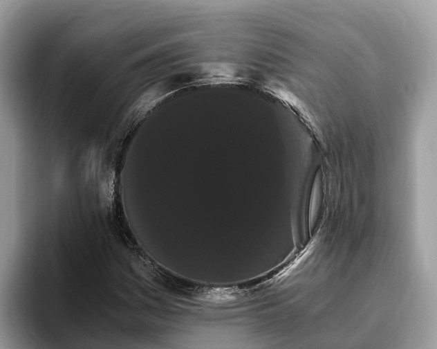 X0000093411161200710190939