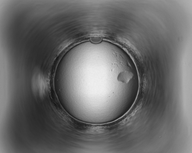 X0000093411162200710190939