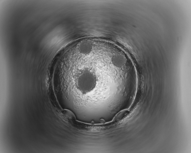 X0000093411163200710190939