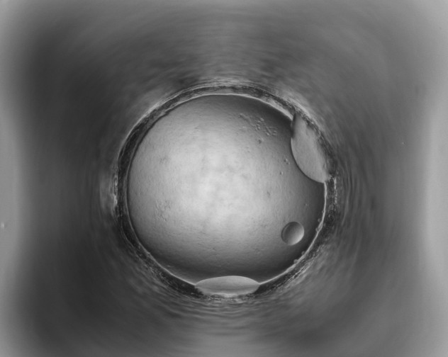 X0000093411165200710190939