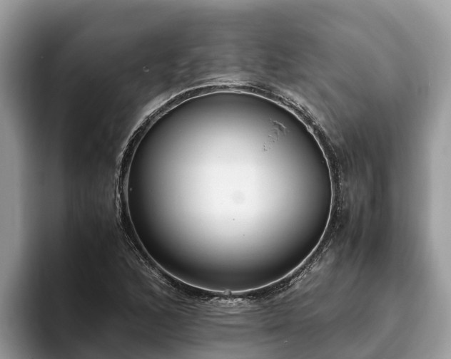 X0000093411168200710190939