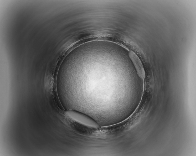 X0000093411169200710190939