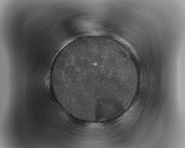 X0000093411170200710190939