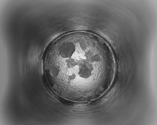 X0000093411171200710190939