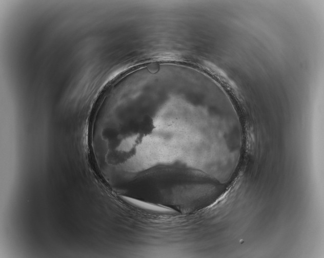 X0000093411174200710190939