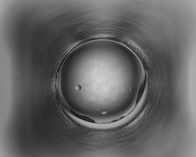 X0000093411177200710190939