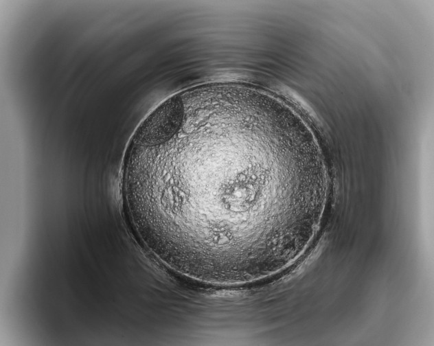 X0000093411178200710190939