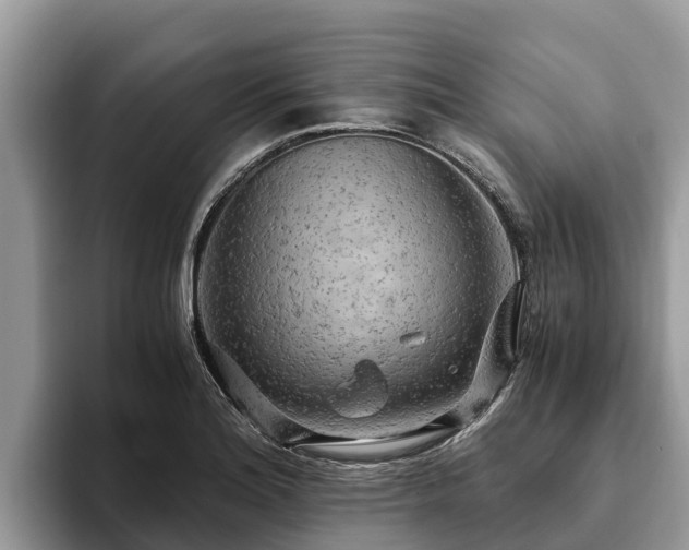 X0000093411180200710190939