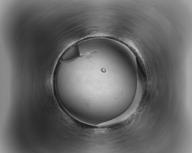 X0000093411181200710190939