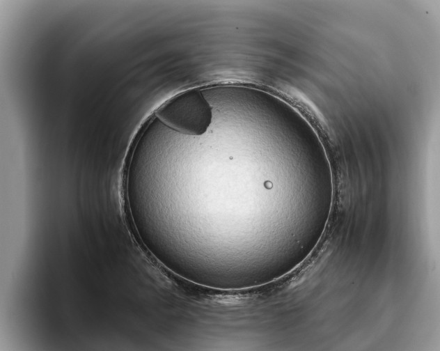 X0000093411182200710190939