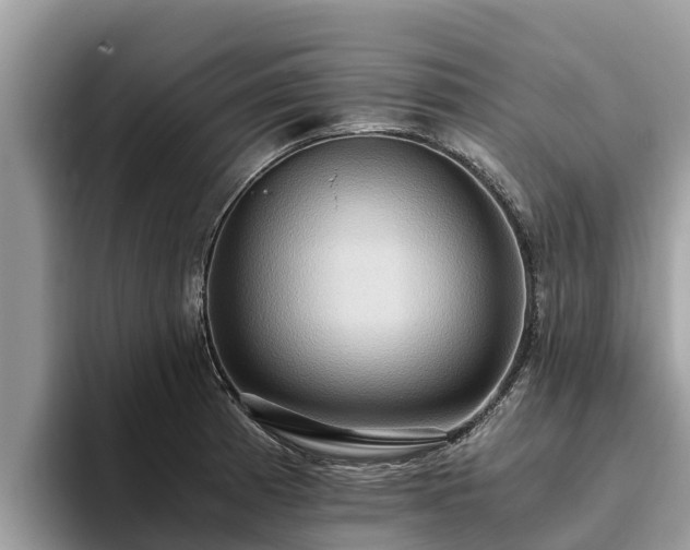 X0000093411185200710190938