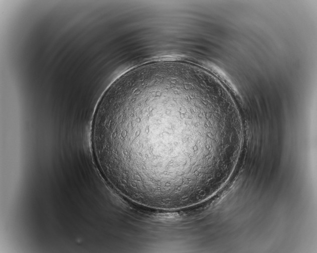 X0000093411186200710190938