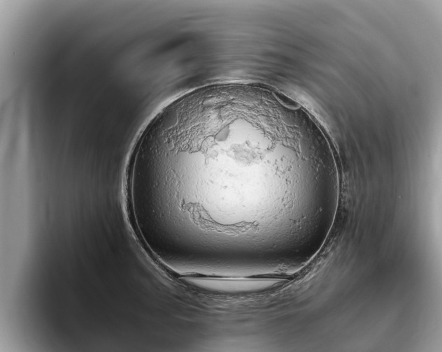 X0000093411187200710190938