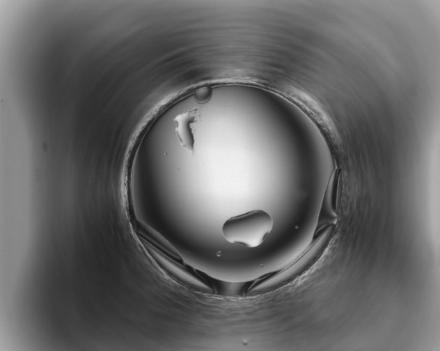 X0000093411188200710190938