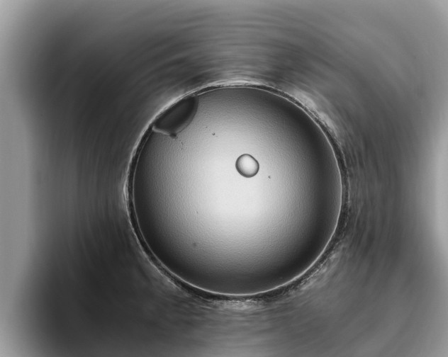 X0000093411189200710190938