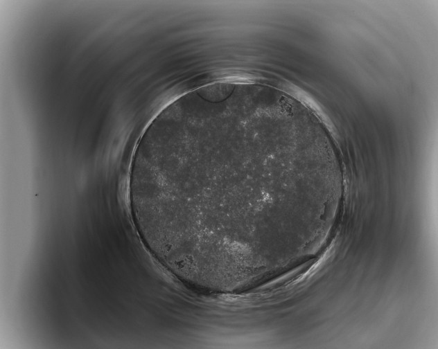 X0000093411194200710190938