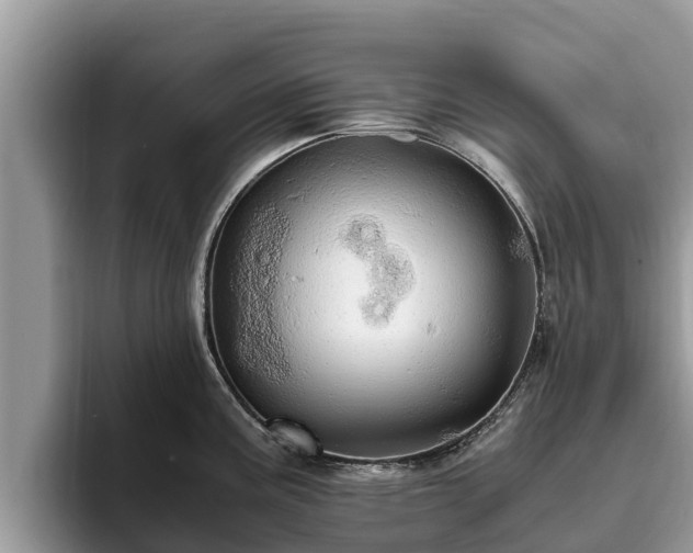 X0000093411195200710190938