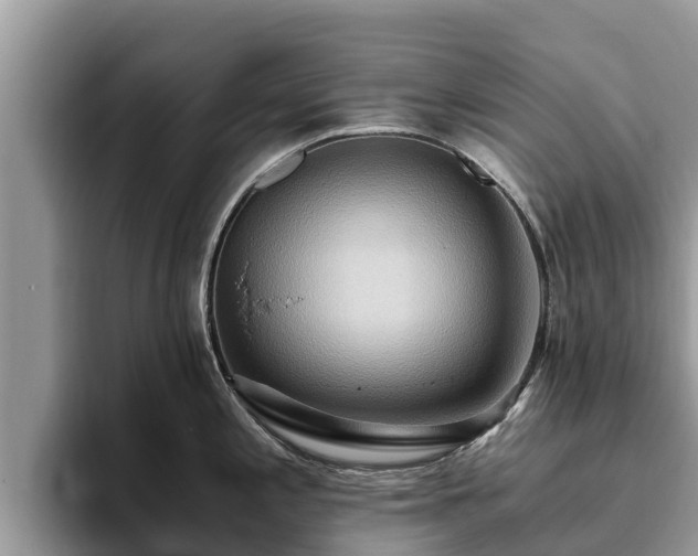 X0000093411197200710190938