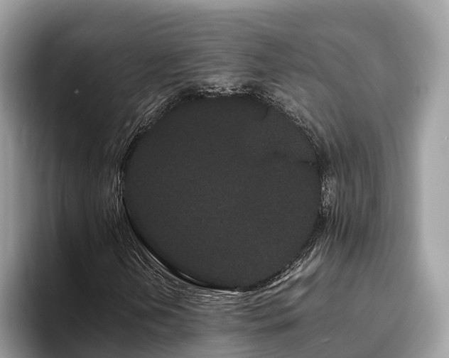 X0000093411202200710190938