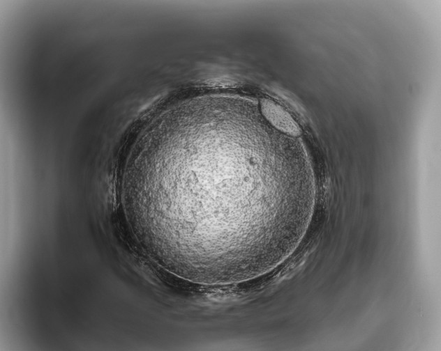 X0000093411205200710190938