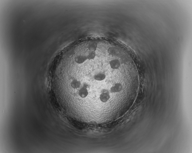 X0000093411207200710190938