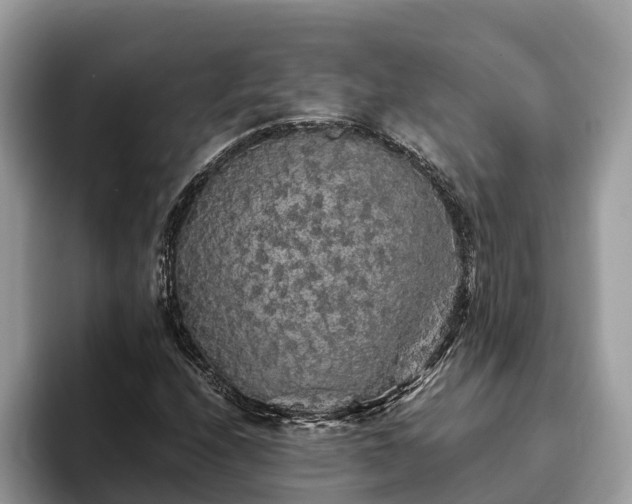 X0000093411208200710190938