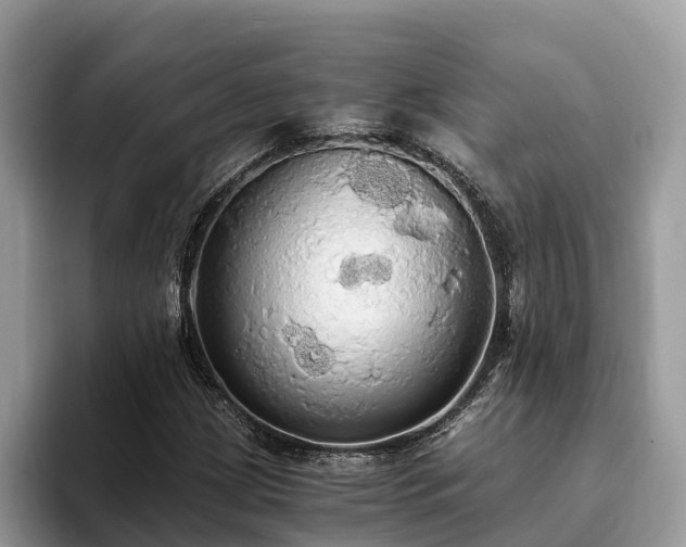 X0000093411209200710190938