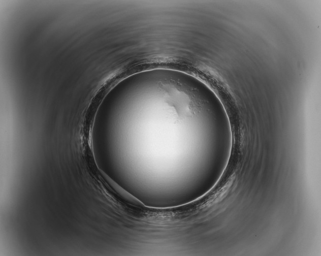 X0000093411210200710190938