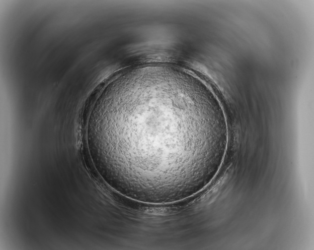 X0000093411211200710190938