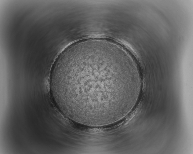 X0000093411212200710190938