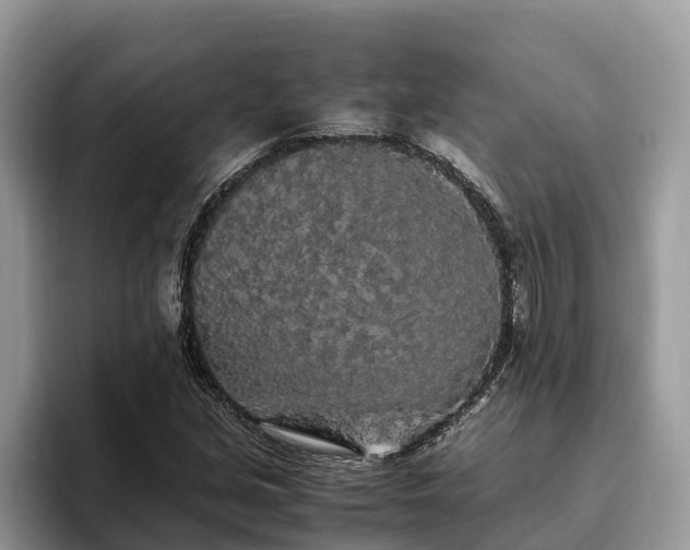 X0000093411213200710190938