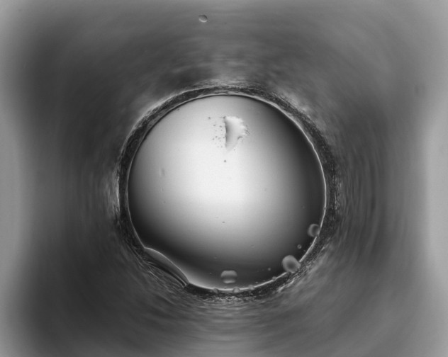 X0000093411214200710190938