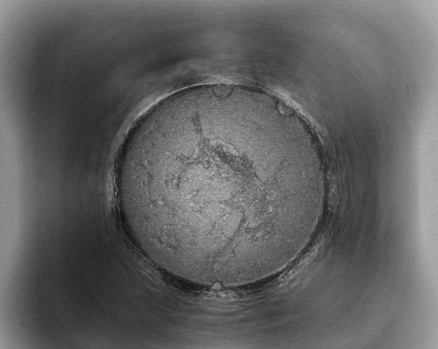 X0000093411215200710190938