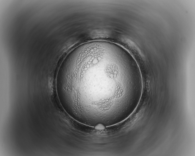 X0000093411217200710190938