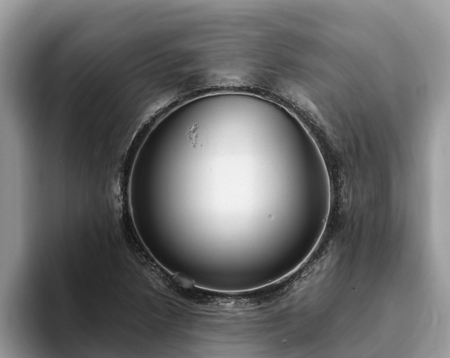 X0000093411218200710190938