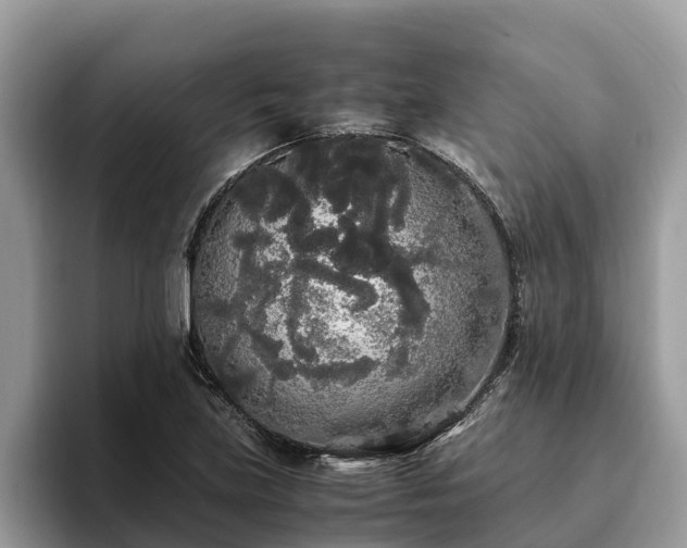 X0000093411219200710190938