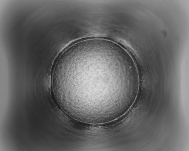 X0000093411220200710190938