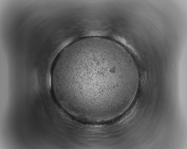 X0000093411221200710190938